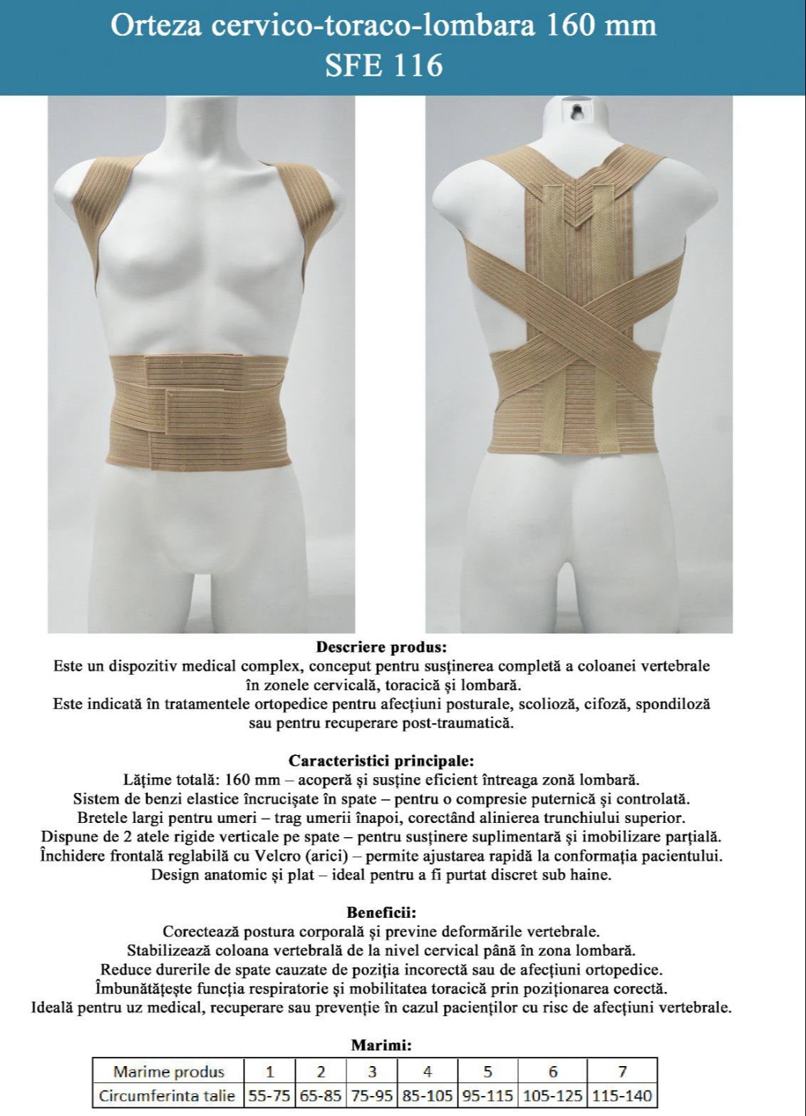 orteza20cervico toraco lombara2016020mm 1131x1600
