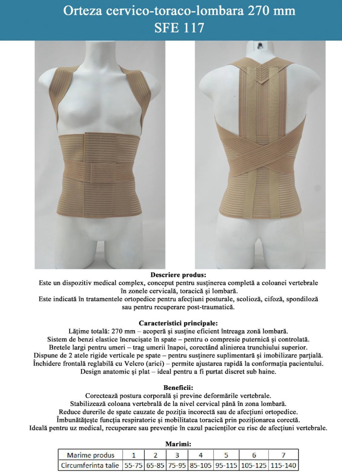 orteza20cervico toraco lombara2027020mm 1131x1600