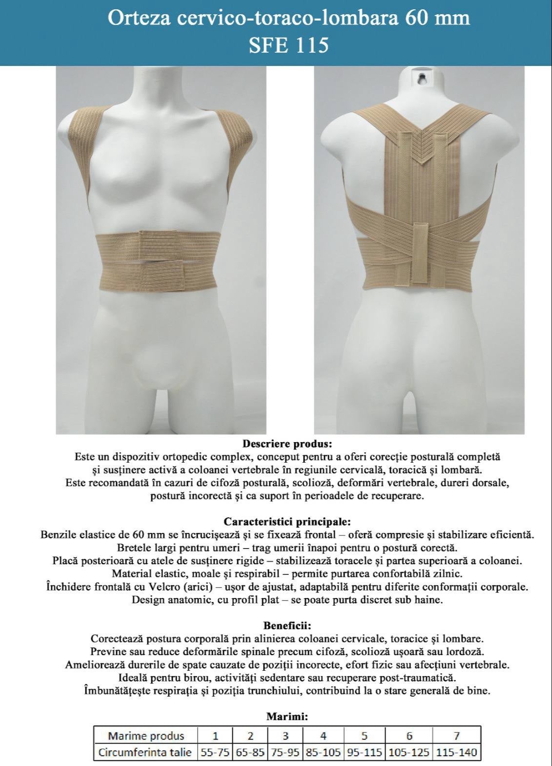orteza20cervico toraco lombara206020mm 1131x1600