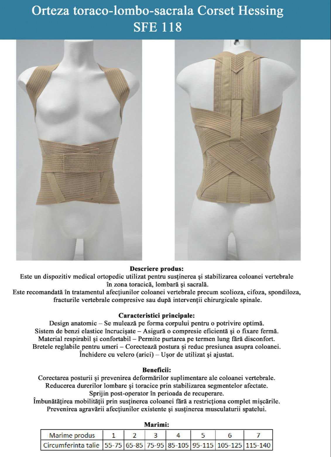 orteza20toraco lombo sacrala20corset20hessing 1131x1600